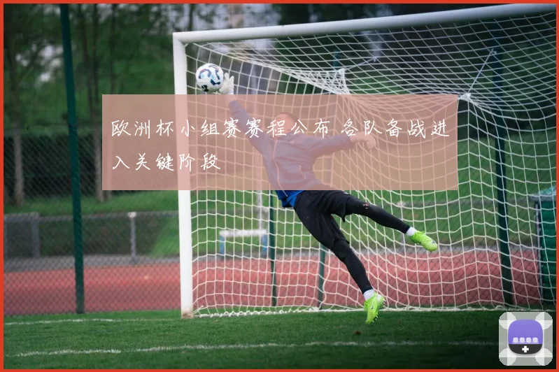 欧洲杯小组赛赛程公布 各队备战进入关键阶段