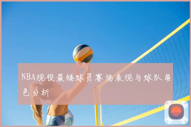 NBA现役最矮球员赛场表现与球队角色分析