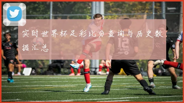 实时世界杯足彩比分查询与历史数据汇总