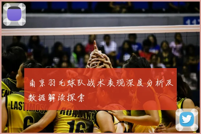 南京羽毛球队战术表现深度分析及数据解读探索