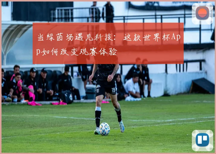 当绿茵场遇见科技：这款世界杯App如何改变观赛体验