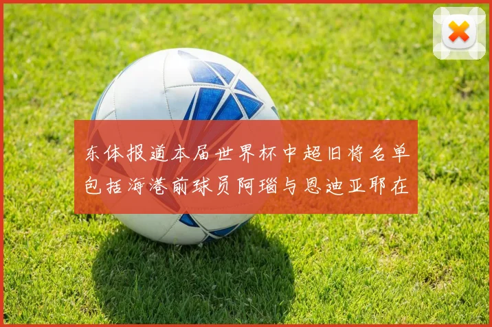 东体报道本届世界杯中超旧将名单包括海港前球员阿瑙与恩迪亚耶在内的10位球员
