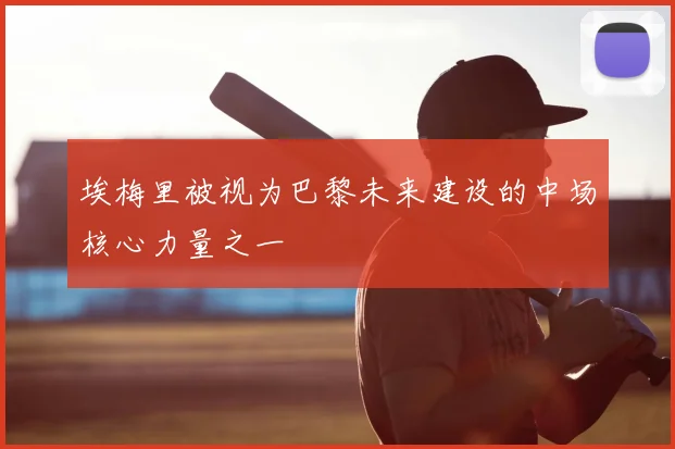 埃梅里被视为巴黎未来建设的中场核心力量之一