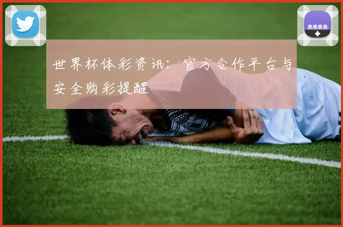 世界杯体彩资讯：官方合作平台与安全购彩提醒