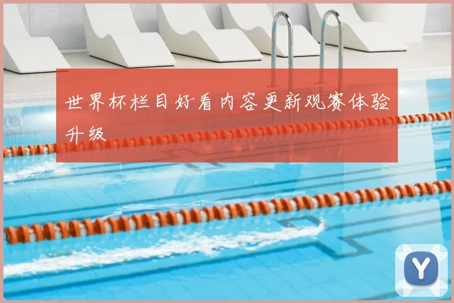 世界杯栏目好看内容更新观赛体验升级