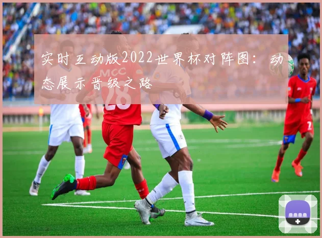 实时互动版2022世界杯对阵图：动态展示晋级之路