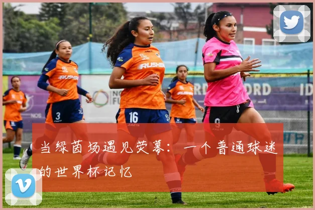 当绿茵场遇见荧幕：一个普通球迷的世界杯记忆