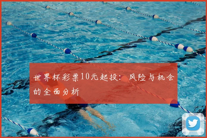 世界杯彩票10元起投：风险与机会的全面分析