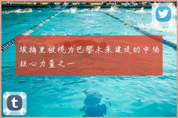 埃梅里被视为巴黎未来建设的中场核心力量之一